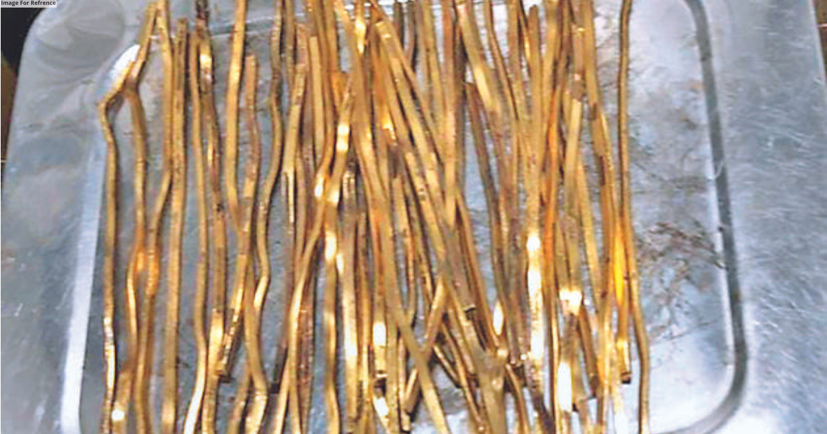 Gold rods worth Rs 46 lakh seized from flier coming from Sharjah